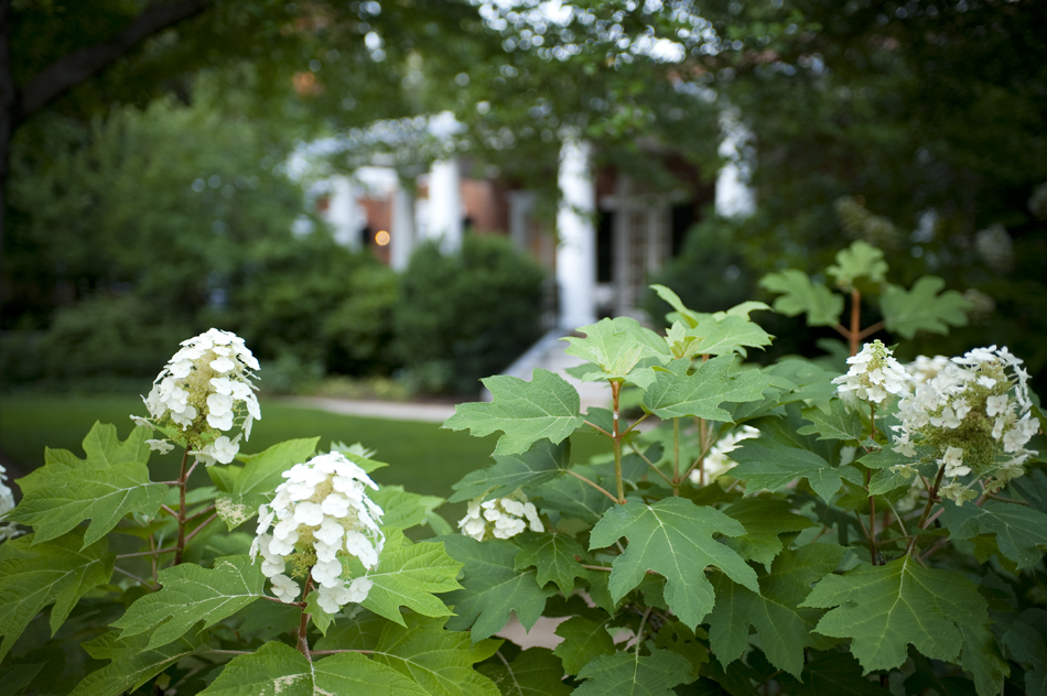 UVA Development Endowment