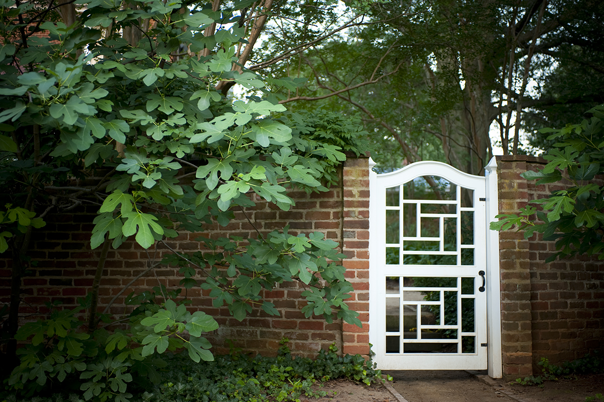 UVA Development Endowment