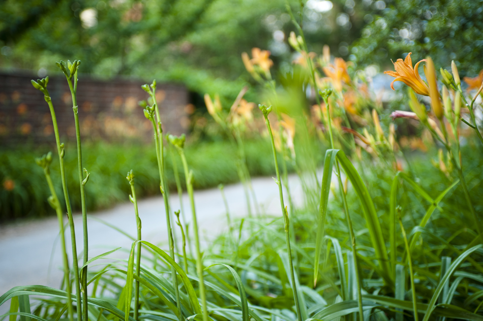 UVA Development Endowment