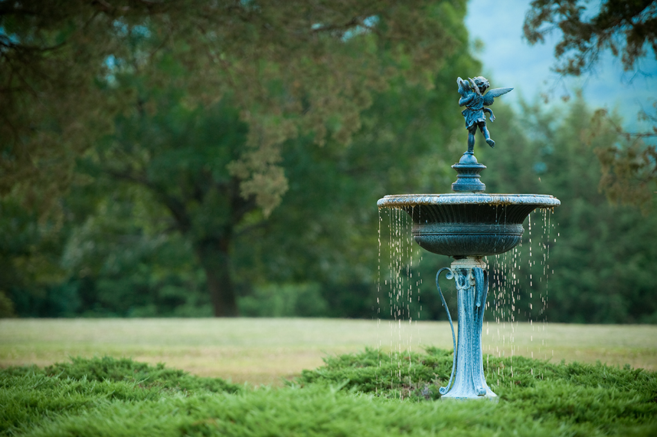 UVA Development Endowment