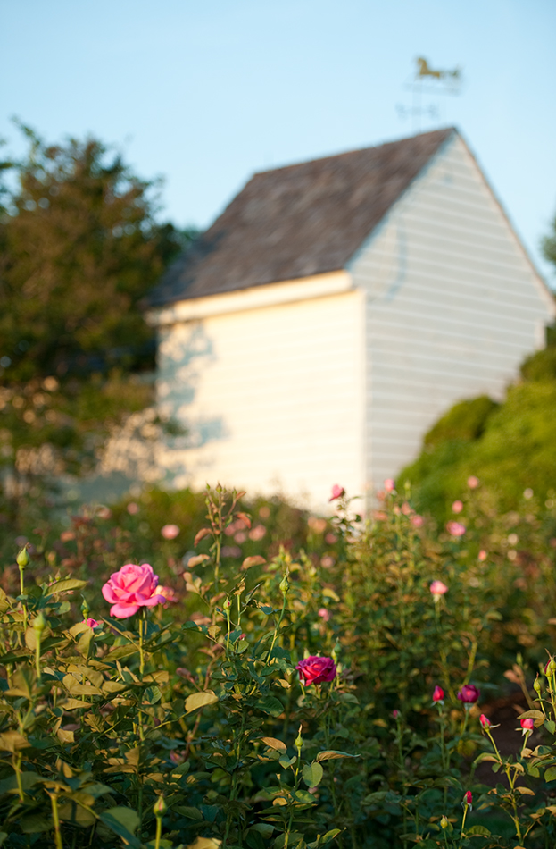 UVA Development Endowment