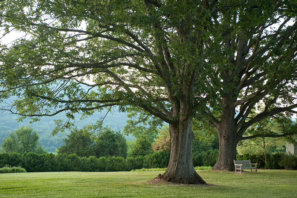 UVA Development Endowment